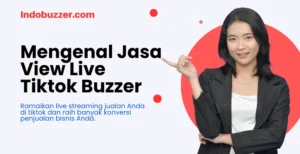 jasa view live tiktok